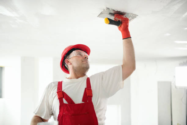 Best Drywall Repair  in Wheeling, WV